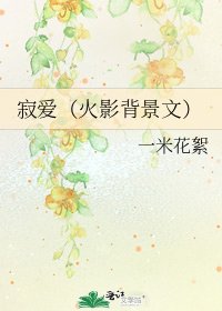 《寂爱(火影背景文)》