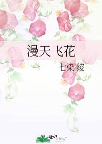 《漫天飞花》