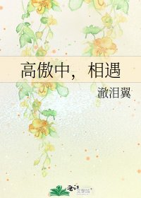 《高傲中,相遇》