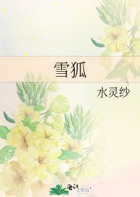 《雪狐》