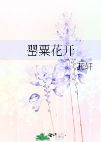 《罂粟花开》