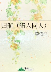 《归航(猎人同人)》