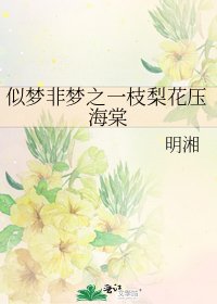 《似梦非梦之一枝梨花压海棠》
