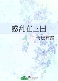 《惑乱在三国》