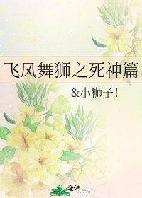 《飞凤舞狮之死神篇》