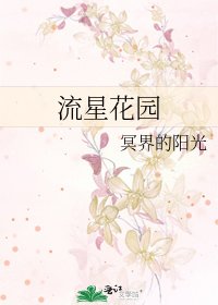 《流星花园》