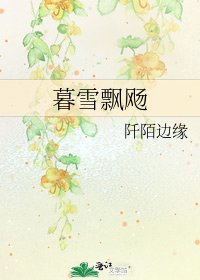 《暮雪飘飏》