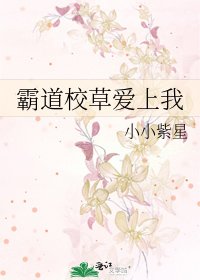 《霸道校草爱上我》