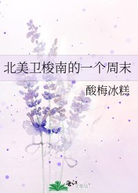 北美卫梭南的一个周末