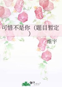 《可惜不是你(题目暂定)》