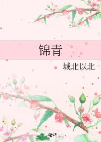 《锦青》