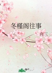 《冬槿阁往事》