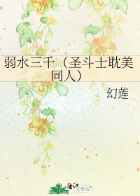 《弱水三千(圣斗士耽美同人)》