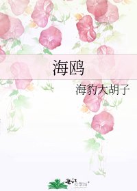 《海鸥》