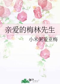 《亲爱的梅林先生》