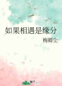 《如果相遇是缘分》