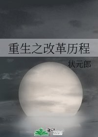 《重生之改革历程》