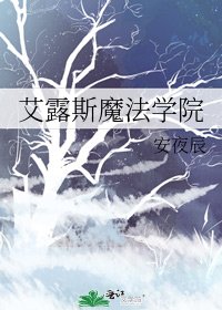 《艾露斯魔法学院》