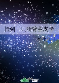 《捡到一只断臂金皮卡》