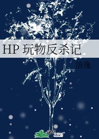 《HP 玩物反杀记》