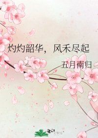 《灼灼韶华,风禾尽起》