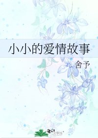 《小小的爱情故事》