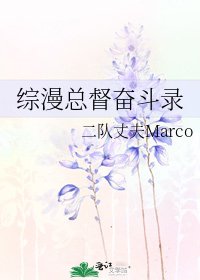 《综漫总督奋斗录》