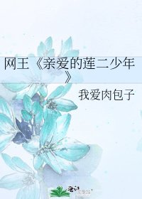 《亲爱的莲二少年》