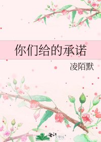 你们给的承诺