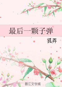 《最后一颗子弹》