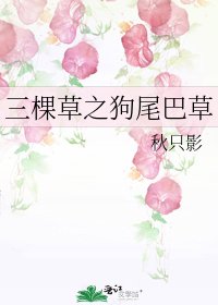 《三棵草之狗尾巴草》