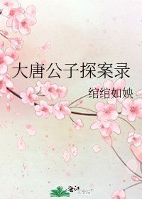 《大唐公子探案录》