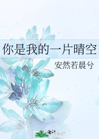 《你是我的一片晴空》