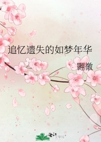 《追忆遗失的如梦年华》