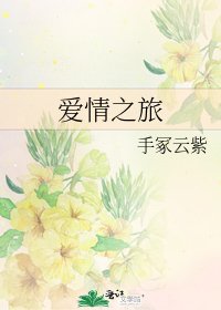《爱情之旅》