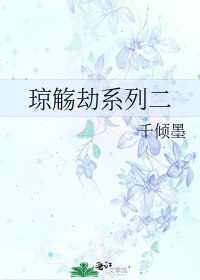 《琼觞劫系列二》