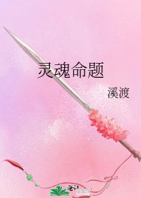 《灵魂命题》