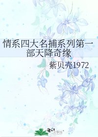 《情系四大名捕系列第一部天降奇缘》