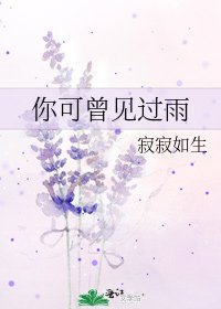 《你可曾见过雨》