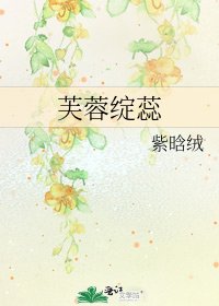 《芙蓉绽蕊》