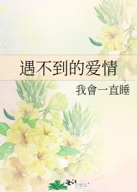 《遇不到的爱情》