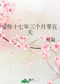 《爱你十七年三个月零五天》