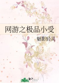 《网游之极品小受》