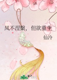 《凤不涅槃,但欲重生》