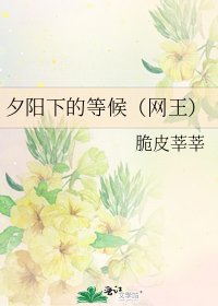 夕阳下的等候（网王）