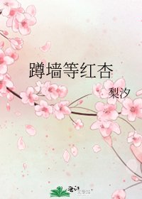 《蹲墙等红杏》