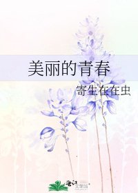 《美丽的青春》