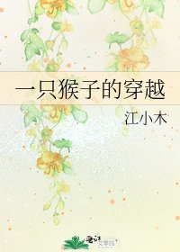 《一只猴子的穿越》