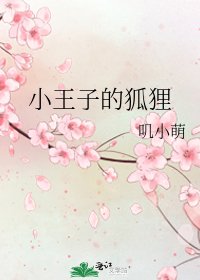 《小王子的狐狸》