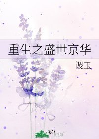 《重生之盛世京华》